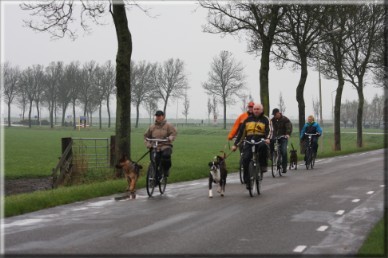 UV examen Kringgroep Wognum Ned. Boxerclub