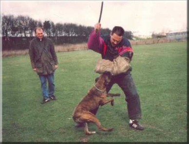 Henry Beuks met Boxer Donald tijdens zijn eerste IPO 1 examen (1993) bij de DVIN in Amersfoort 