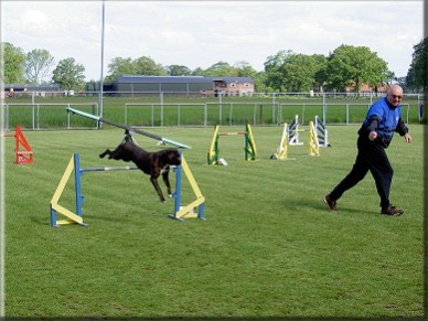 Vera in actie met Henry Beuks tijdens een agilitywedstrijd in Overijssel in 2004